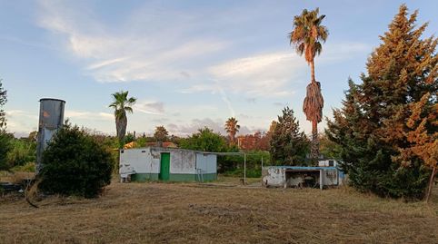 Foto 3 de Finca rústica en venda a Calle Pedro de Valdivia, 1, Solana de los Barros, Badajoz