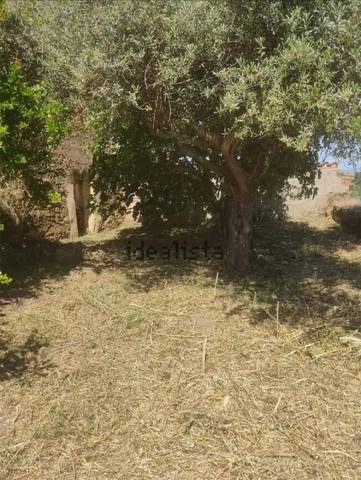 Terreno en Venta en Calle Cagancha, 6 en Serrejón