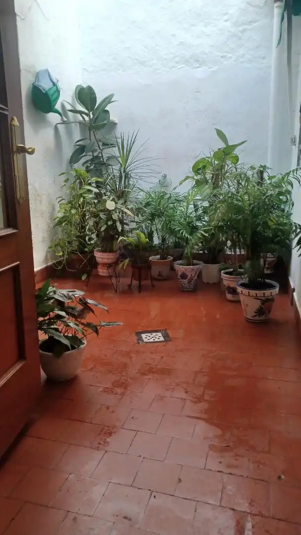 Terraza de Casa adosada en venta en Alcuéscar con Amueblado