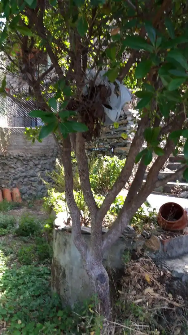 Casa adosada en venta en Poblado Ovejuela, 76, Pinofranqueado Jardín de Casa adosada en venta en Pinofranqueado con Calefacción, Jardín privado y Terraza