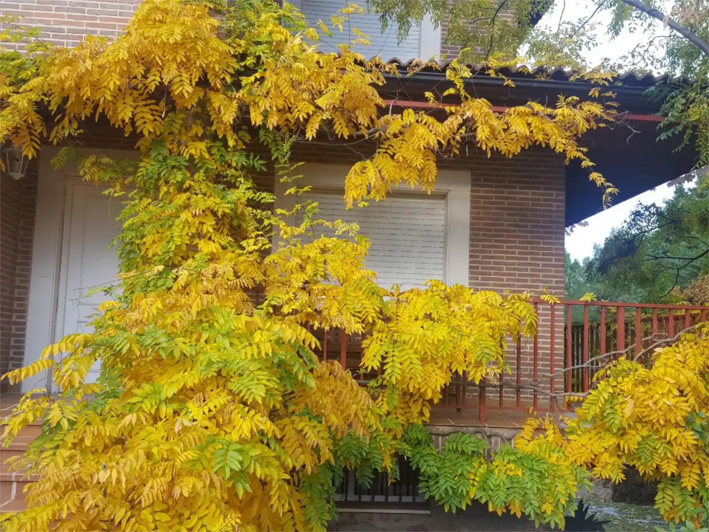Piso en venta en Urbanización San Pedro de Alcántara, 46, Olías del Rey Jardín de Piso en venta en Olías del Rey con Aire acondicionado, Calefacción y Jardín privado