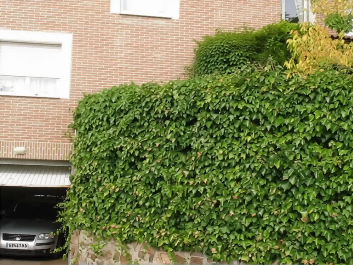 Piso en venta en Urbanización San Pedro de Alcántara, 46, Olías del Rey Vista exterior de Piso en venta en Olías del Rey con Aire acondicionado, Calefacción y Jardín privado