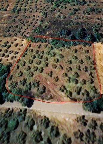 Terreno en Venta en Calle Gabriel y Galán, 2 en La Pesga