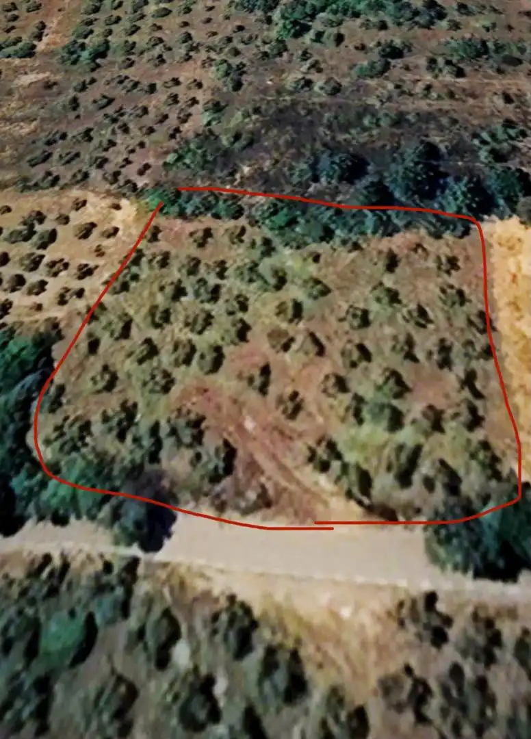 Terreno en venta en La Pesga 