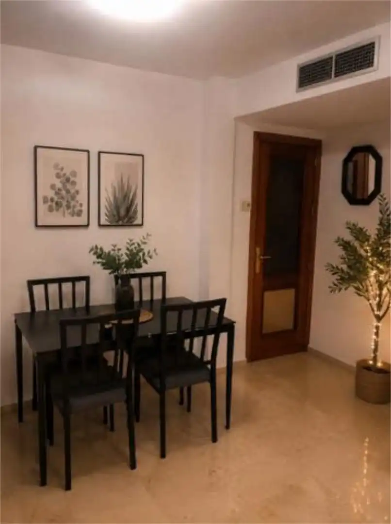 Apartments for rent in Zona Centro Apartments for rent in Zona Centro
