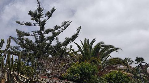 Photo 4 of Flat for rent in Camino del Coche, 66, San Antonio - Las Arenas, Puerto de la Cruz