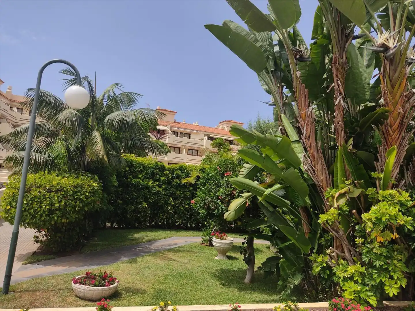 Garden of Flat for rent in Puerto de la Cruz  with Terrace and Swimming Pool