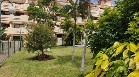 Photo 3 of Flat for rent in Camino del Coche, 66, San Antonio - Las Arenas, Puerto de la Cruz