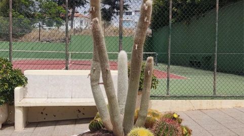 Photo 5 of Flat for rent in Camino del Coche, 66, San Antonio - Las Arenas, Puerto de la Cruz