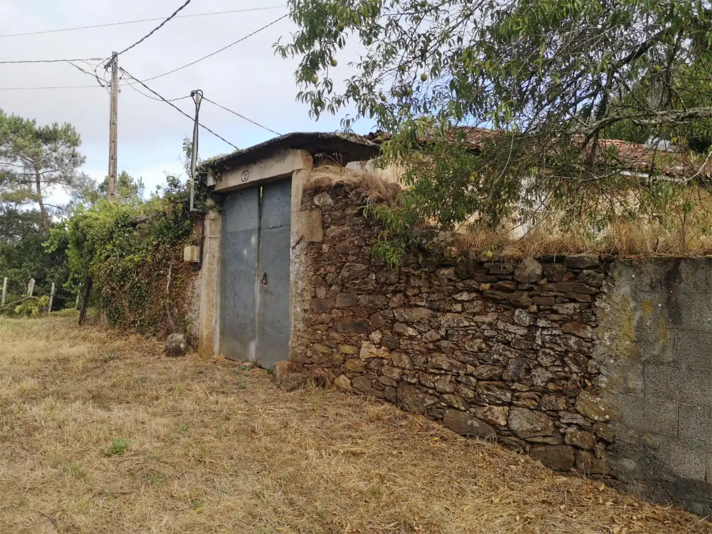 Vista exterior de Finca rústica en venda en Vila de Cruces