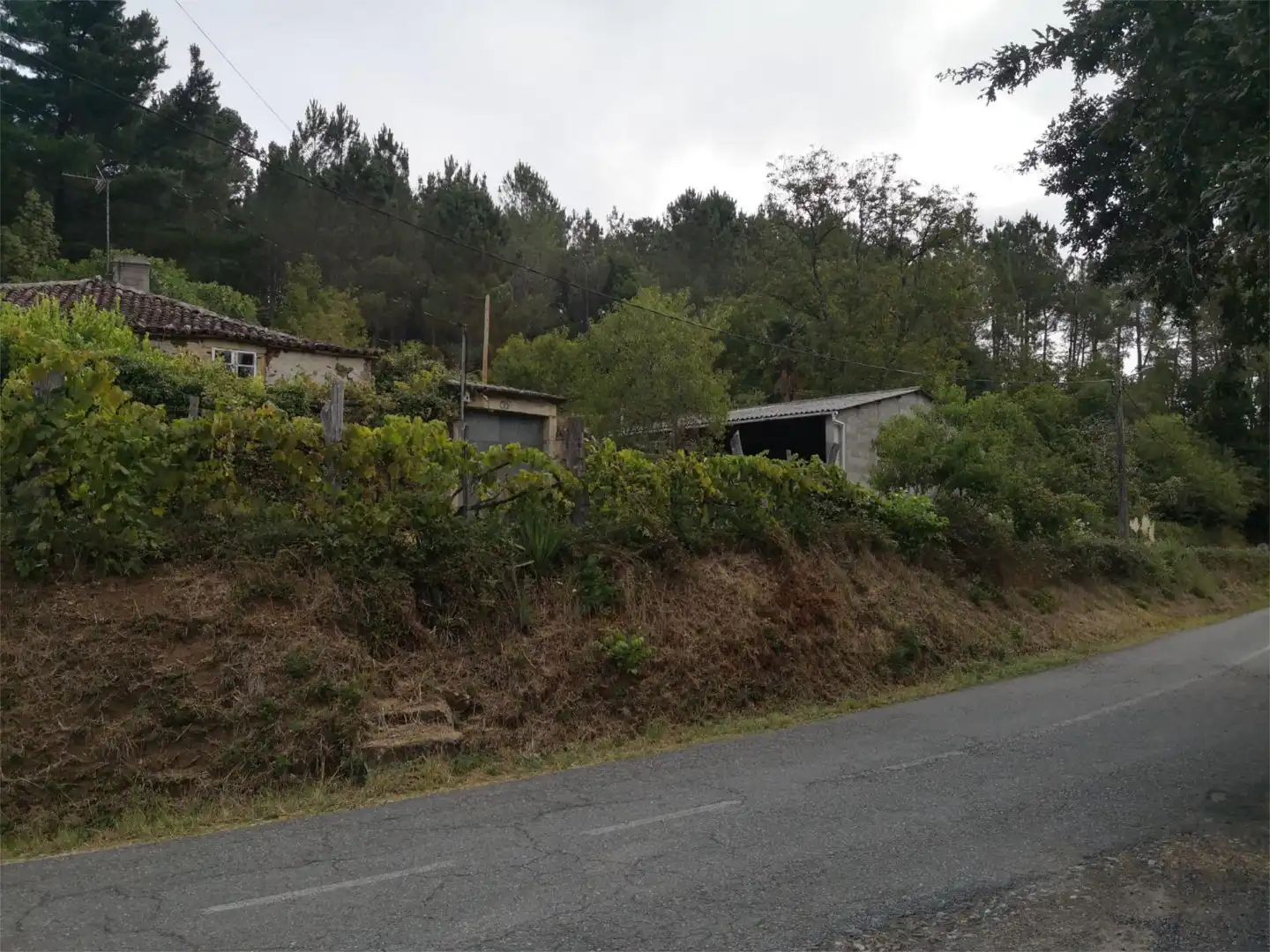 Finca rústica en venda en Vila de Cruces