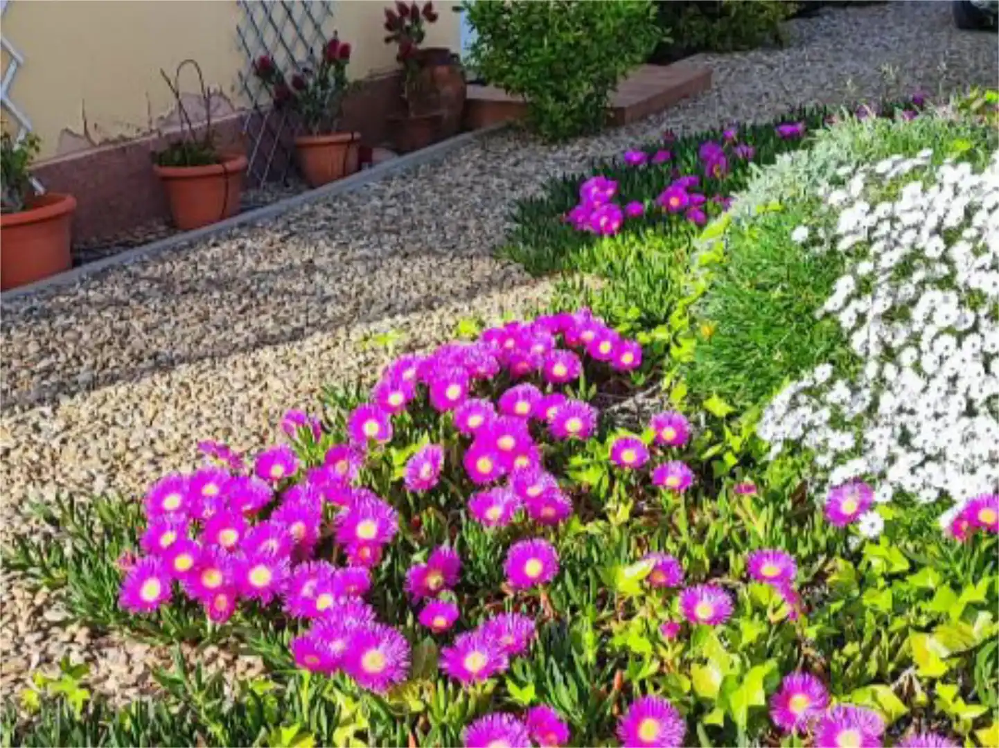 Casa o xalet en venda a Carrer Ronda Aragón y Cataluña, 438, Caspe Jardí de Casa o xalet en venda en Caspe amb Aire condicionat i Piscina