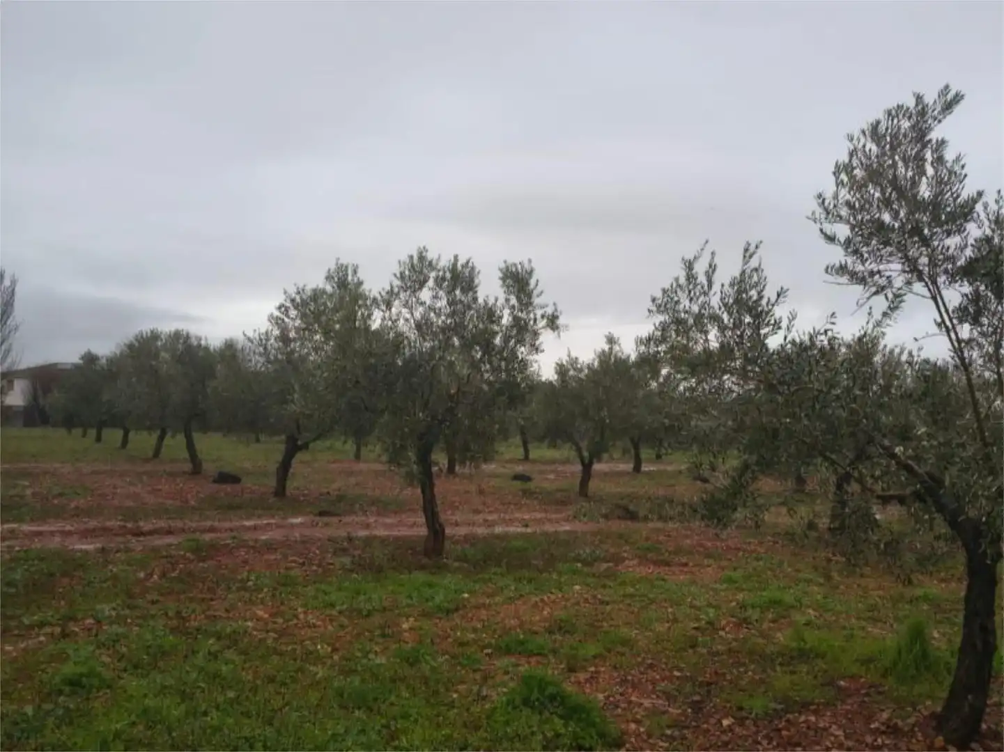 Finca rústica en venta en Calle S1, 6, Almagro Finca rústica en venta en Almagro con Aire acondicionado y Terraza