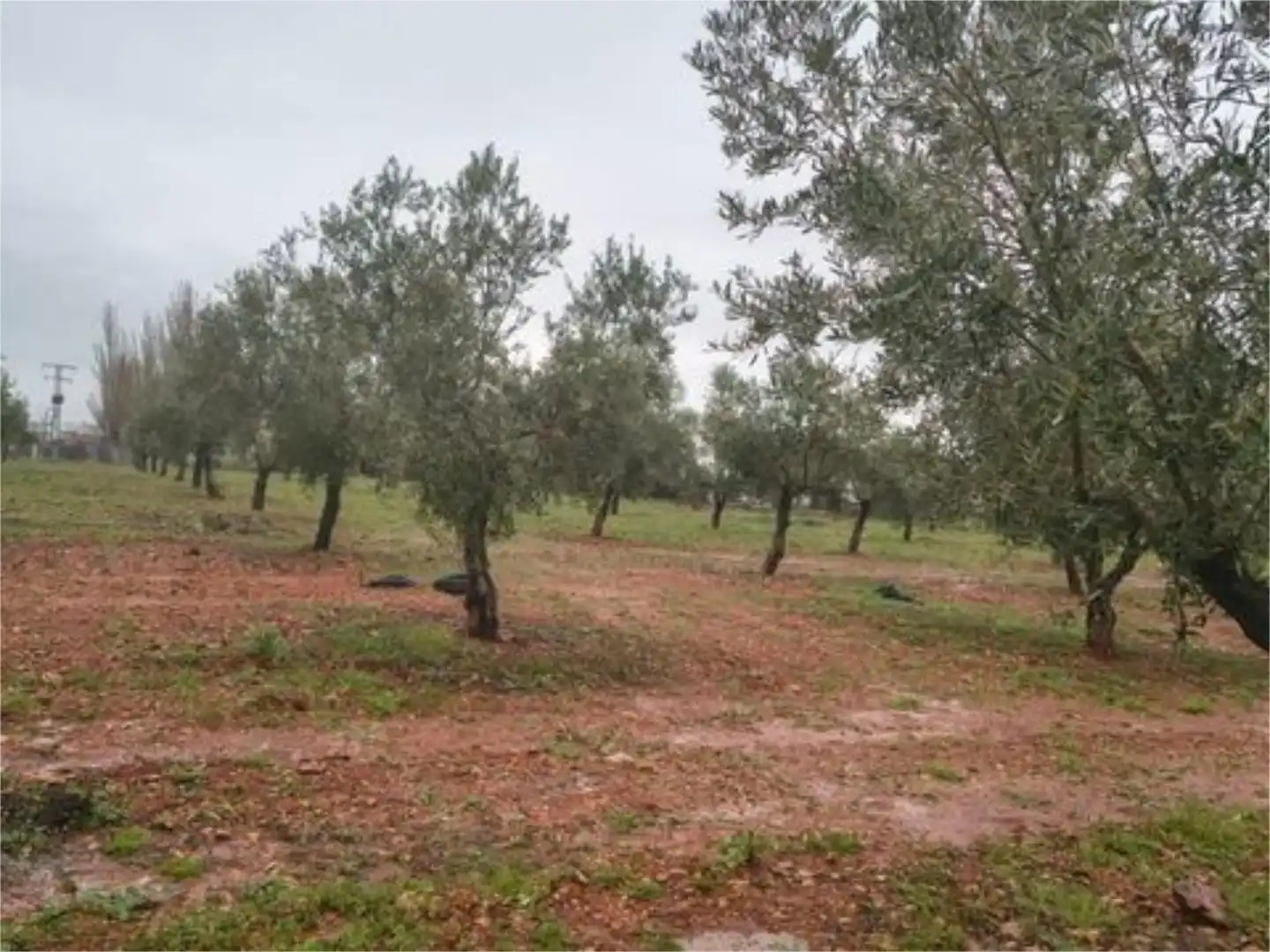 Finca rústica en venta en Calle S1, 6, Almagro Finca rústica en venta en Almagro con Aire acondicionado y Terraza