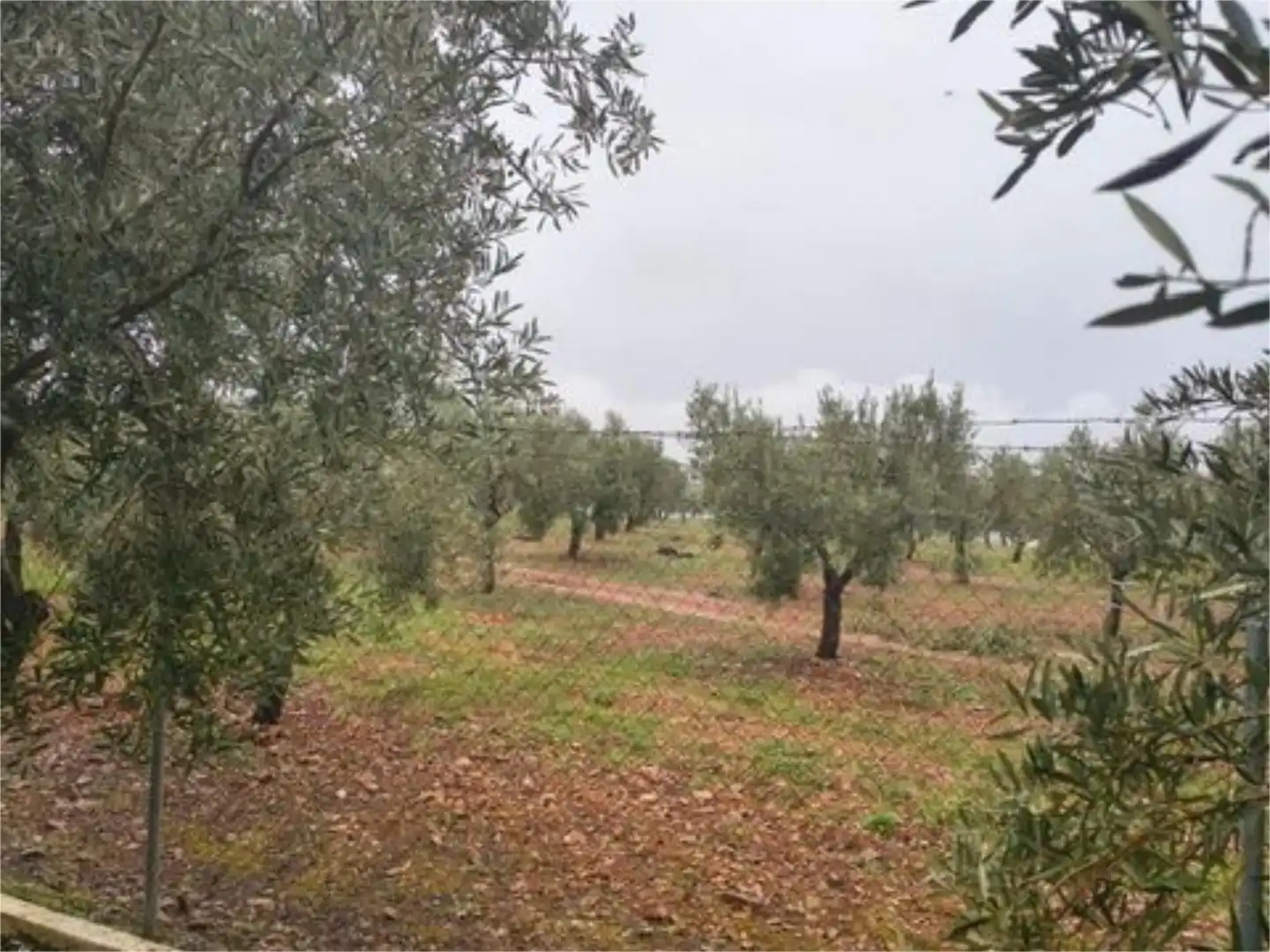 Finca rústica en venta en Calle S1, 6, Almagro Finca rústica en venta en Almagro con Aire acondicionado y Terraza