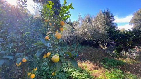 Foto 3 de Casa o xalet en venda a Avinguda Can Coll, 400, Sant Celoni, Barcelona