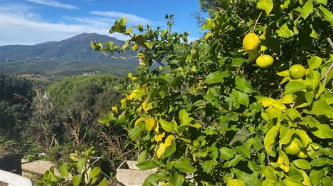 Foto 2 de Casa o xalet en venda a Avinguda Can Coll, 400, Sant Celoni, Barcelona