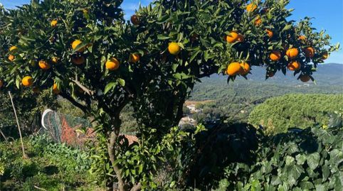 Foto 4 de Casa o xalet en venda a Avinguda Can Coll, 400, Sant Celoni, Barcelona