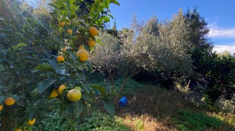 Foto 5 de Casa o xalet en venda a Avinguda Can Coll, 400, Sant Celoni, Barcelona