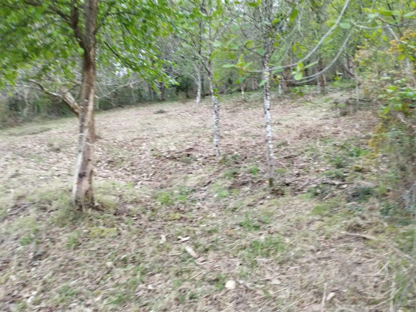 Flat for sale in CU-2, 1, Cudillero Flat for sale in Cudillero