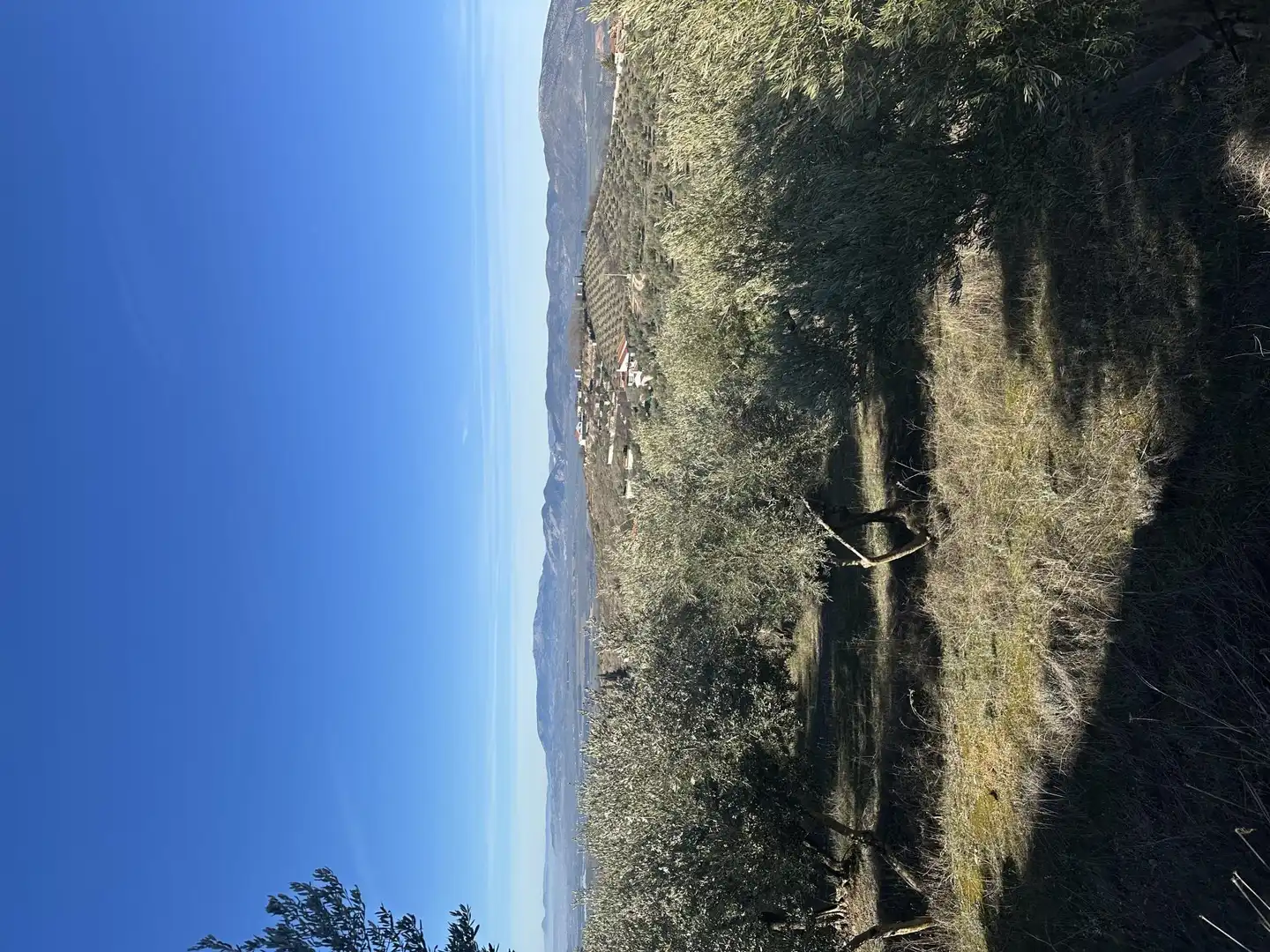Finca rústica en venta en Barrio Urbanizable Residencial, 175, Cogollos de la Vega Finca rústica en venta en Cogollos de la Vega