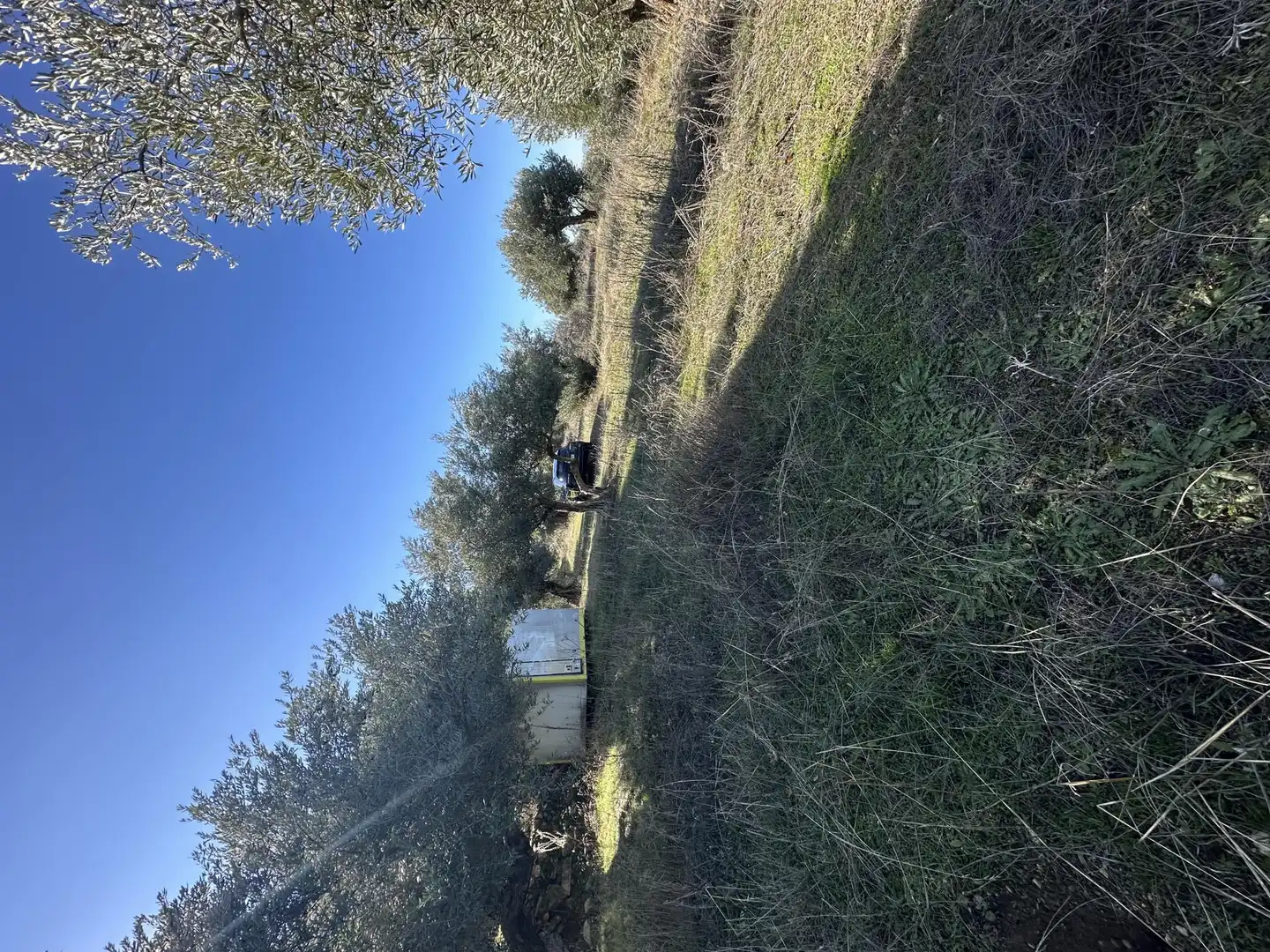 Finca rústica en venta en Barrio Urbanizable Residencial, 175, Cogollos de la Vega Finca rústica en venta en Cogollos de la Vega