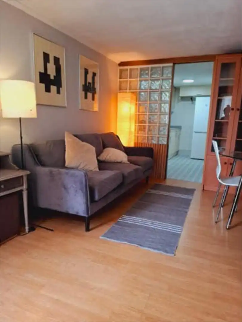 Sala de estar de Piso de alquiler en Ortuella