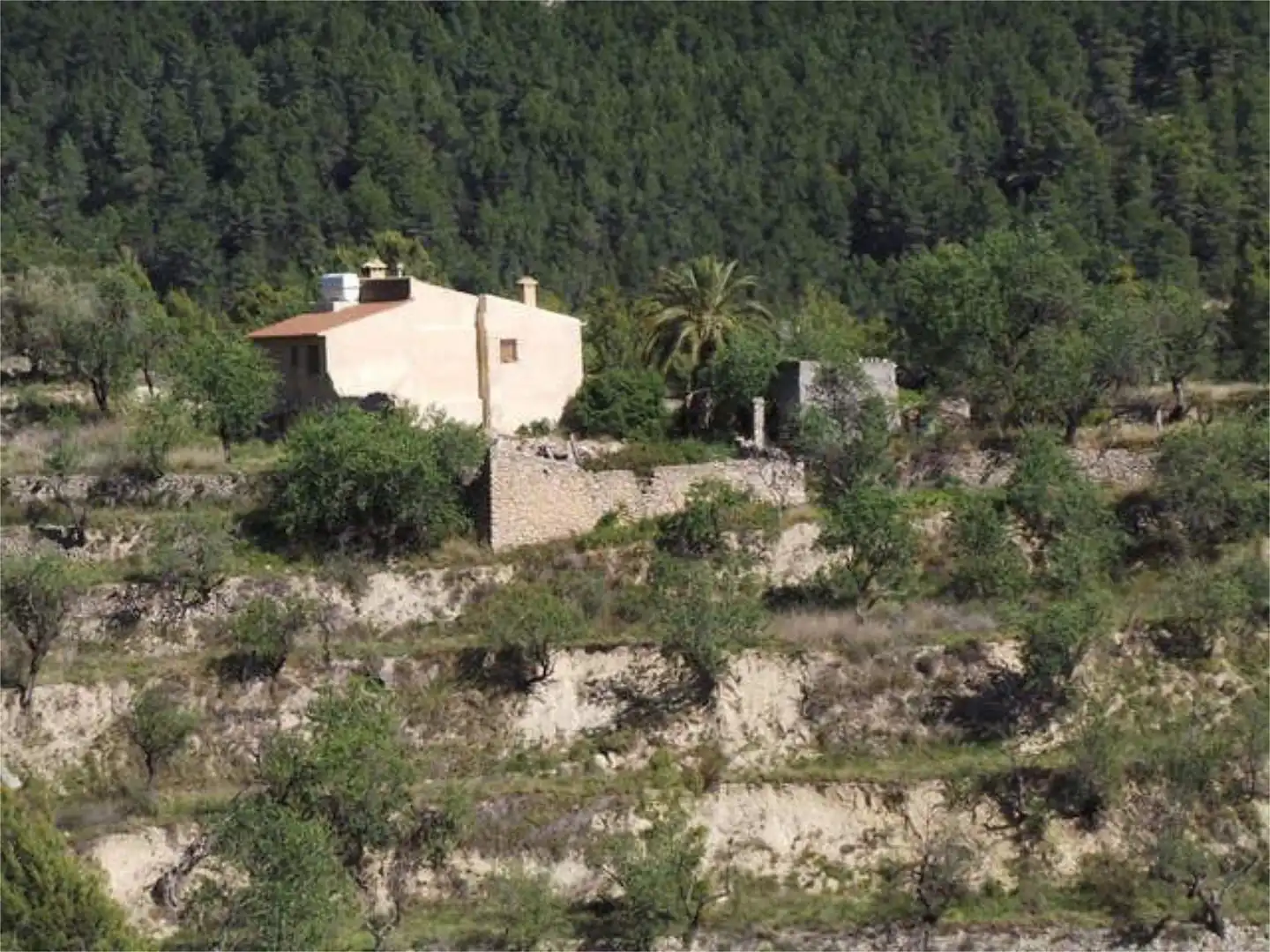 Vista exterior de Casa o xalet en venda en Benidorm amb Terrassa