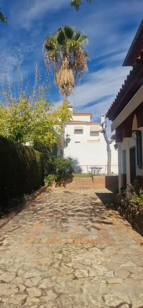 Casa adosada en venda a Calle Magnolios, 4, Peligros Jardí de Casa adosada en venda en Peligros amb Aire condicionat i Piscina