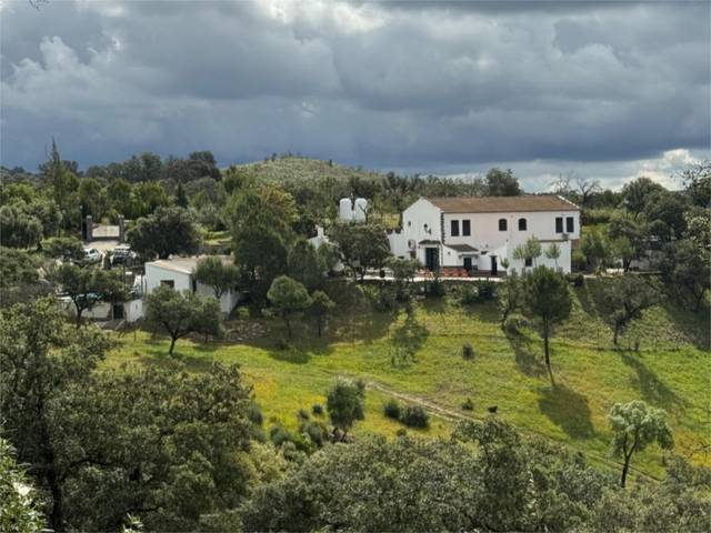 Finca rústica en Venta en Calle Sagasta, 4D en El Madroño
