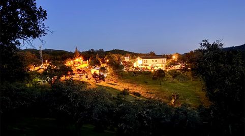 Foto 2 de Finca rústica en venda a Calle Sagasta, 4d, El Madroño, Sevilla