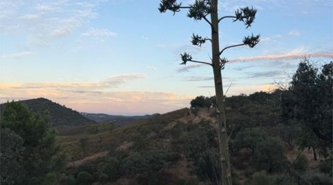 Foto 5 de Finca rústica en venda a Calle Sagasta, 4d, El Madroño, Sevilla