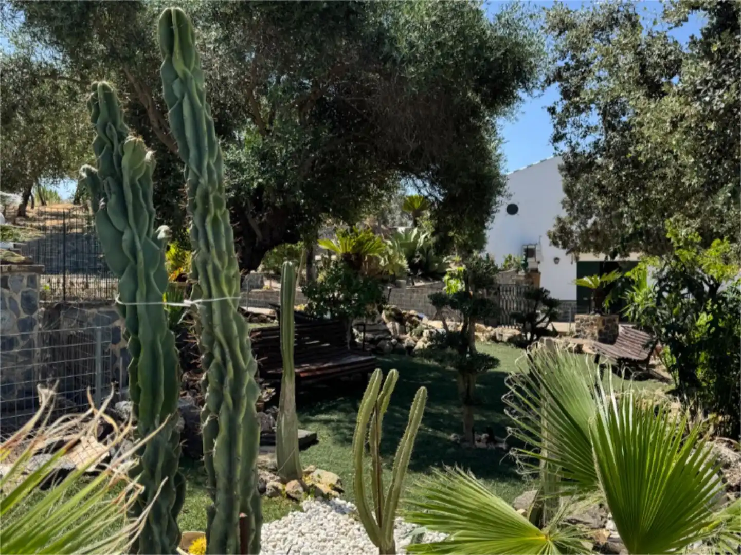 Finca rústica en venta en Calle Sagasta, 4d, El Madroño Jardín de Finca rústica en venta en El Madroño con Aire acondicionado, Terraza y Piscina