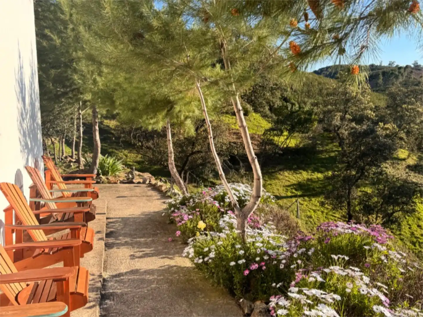 Finca rústica en venta en Calle Sagasta, 4d, El Madroño Terraza de Finca rústica en venta en El Madroño con Aire acondicionado, Terraza y Piscina