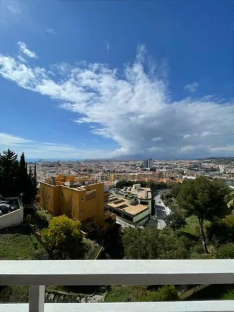 Exterior view of Attic for rent in Málaga  with Private garden, Terrace and Swimming Pool