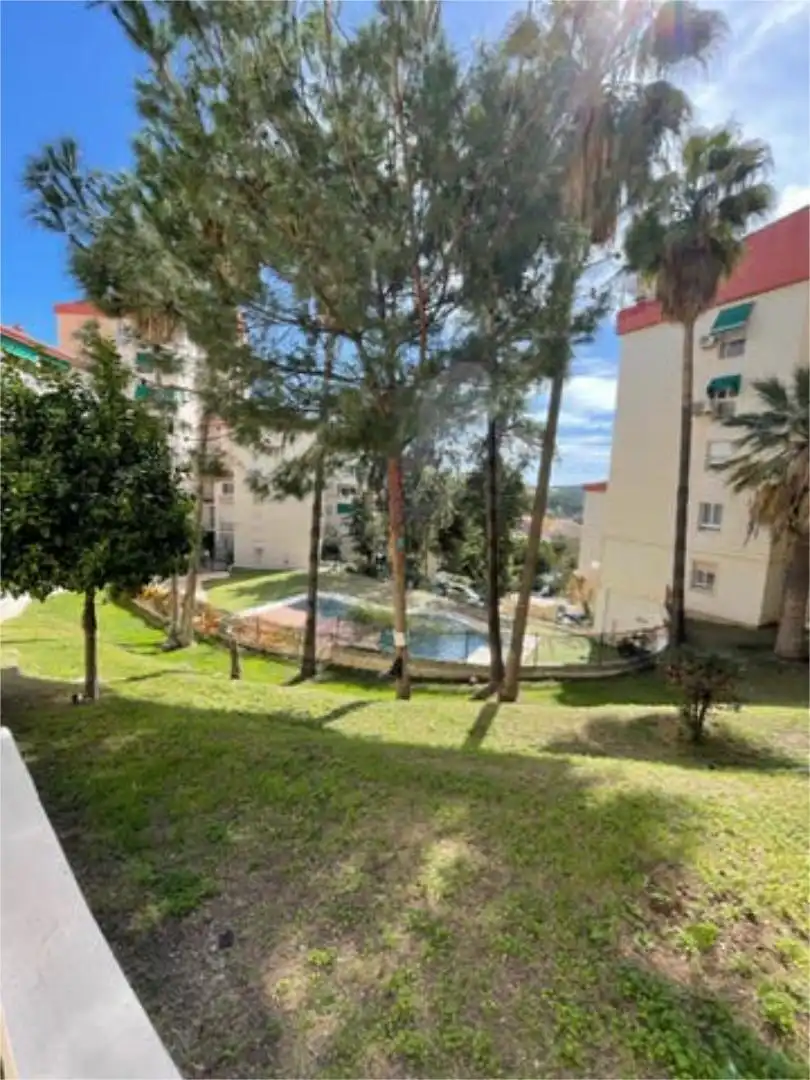 Garden of Attic for rent in Málaga  with Private garden, Terrace and Swimming Pool