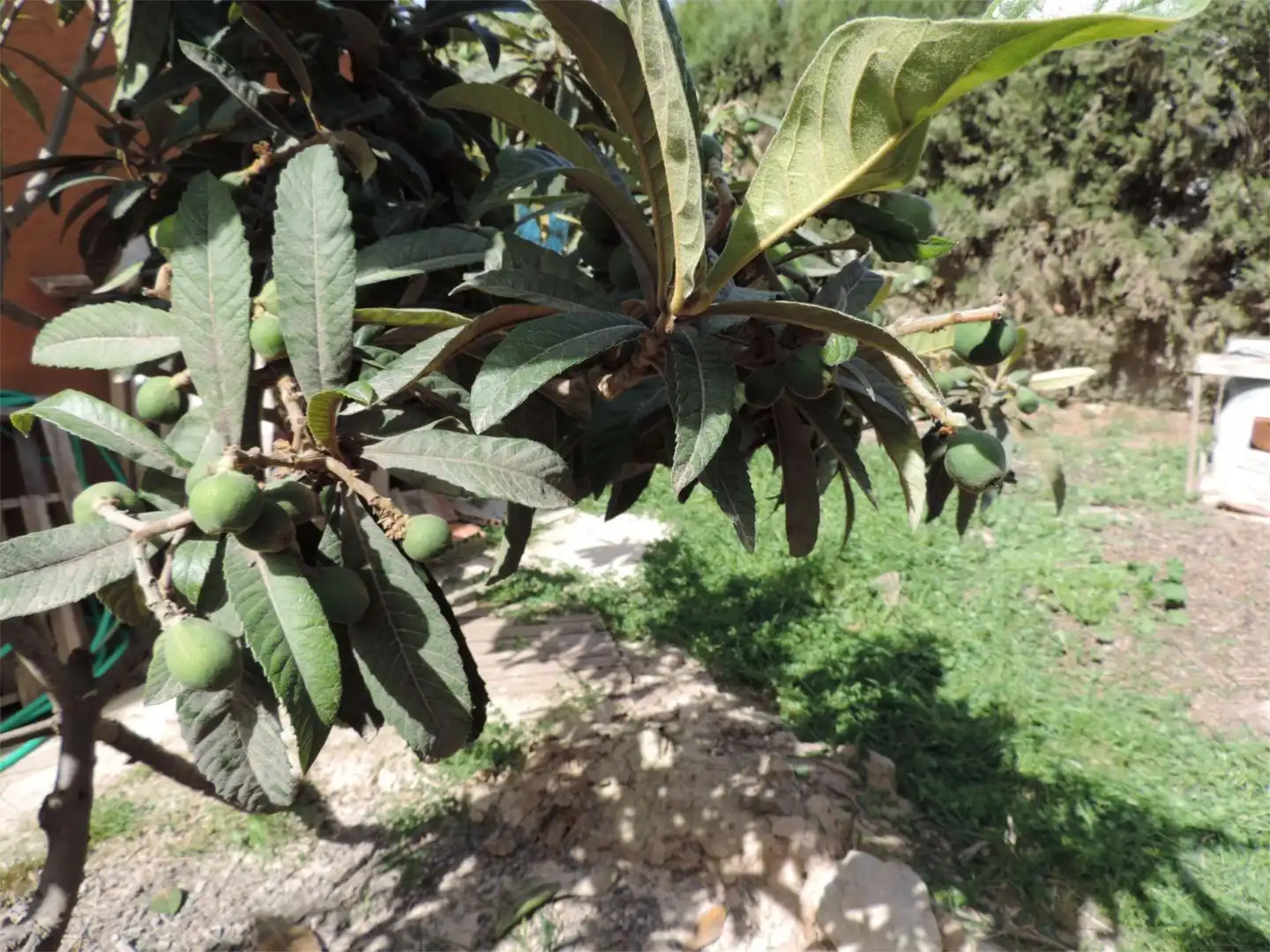 Casa o chalet en venta en Polígono Cabecicos Blancos, 22, Librilla Jardín de Casa o chalet en venta en Librilla con Aire acondicionado y Terraza