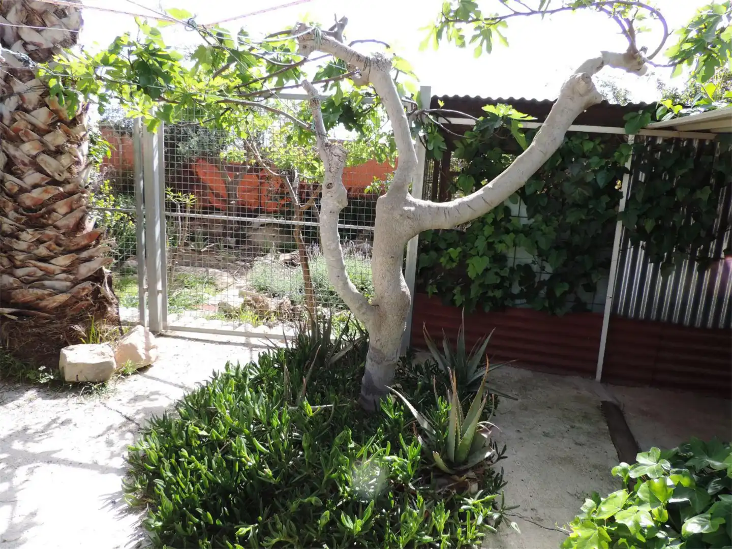Casa o chalet en venta en Polígono Cabecicos Blancos, 22, Librilla Jardín de Casa o chalet en venta en Librilla con Aire acondicionado y Terraza