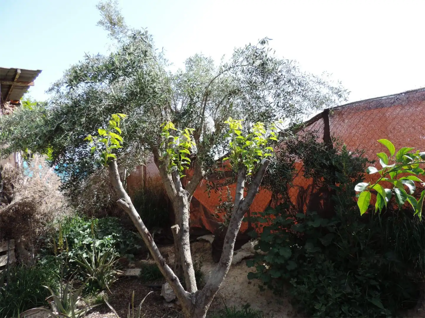 Casa o chalet en venta en Polígono Cabecicos Blancos, 22, Librilla Jardín de Casa o chalet en venta en Librilla con Aire acondicionado y Terraza
