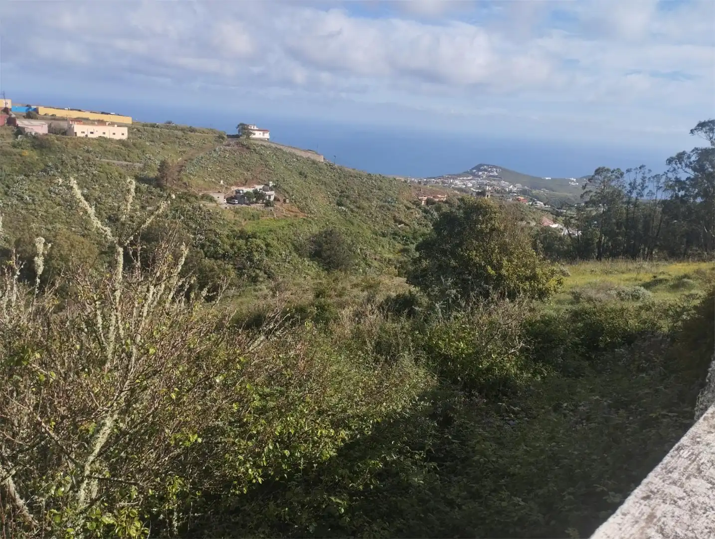 Finca rústica en venda a Diseminado Solapones, 18, Santa María de Guía de Gran Canaria Finca rústica en venda en Santa María de Guía de Gran Canaria amb Terrassa