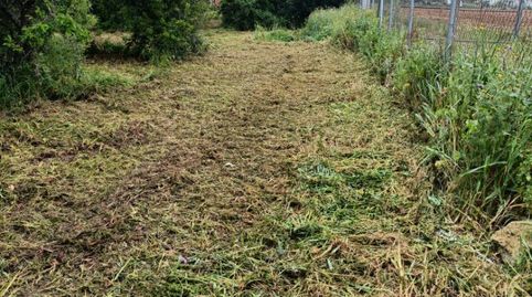 Foto 2 de Finca rústica en venta en Pelagatos - Pago del Humo, Chiclana de la Frontera