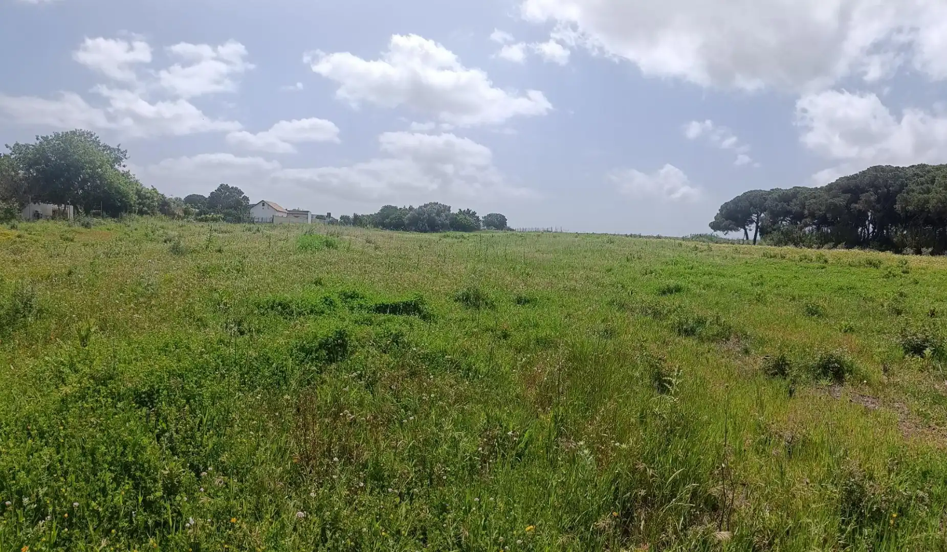 Finca rústica en venta en Chiclana de la Frontera