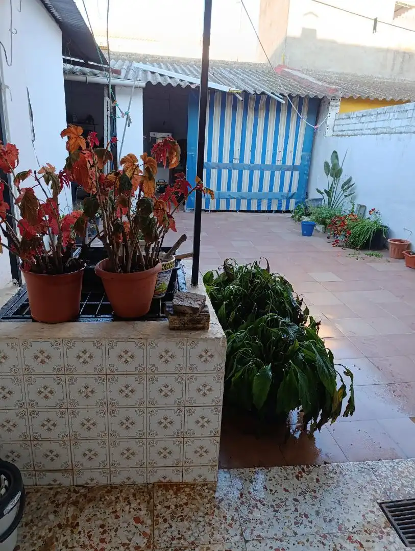 Jardín de Casa adosada en venta en Pilas con Aire acondicionado, Terraza y Balcón