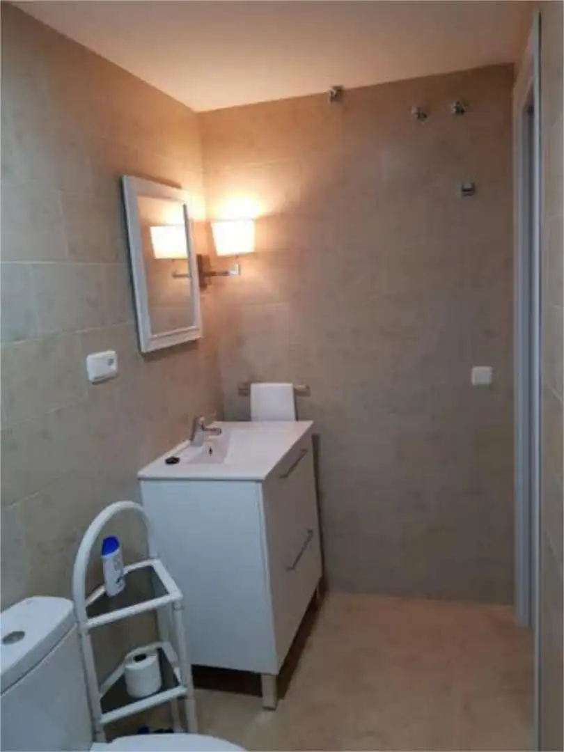 Bany de Loft de lloguer en Málaga amb Calefacció, Terrassa i Moblat