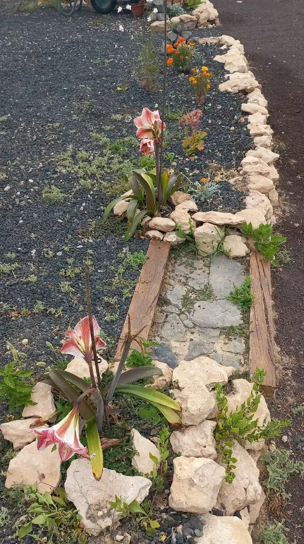 Jardín de Casa o chalet en venta en Tuineje