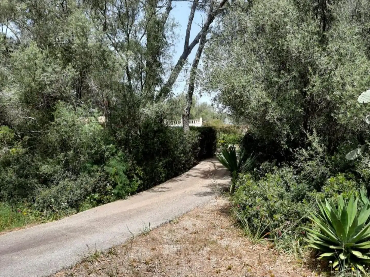 Casa o xalet en venda en Algaida amb Terrassa i Piscina