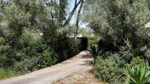 Photo 4 of Houses for sale in Ma-15, Km 15, Algaida, Illes Balears