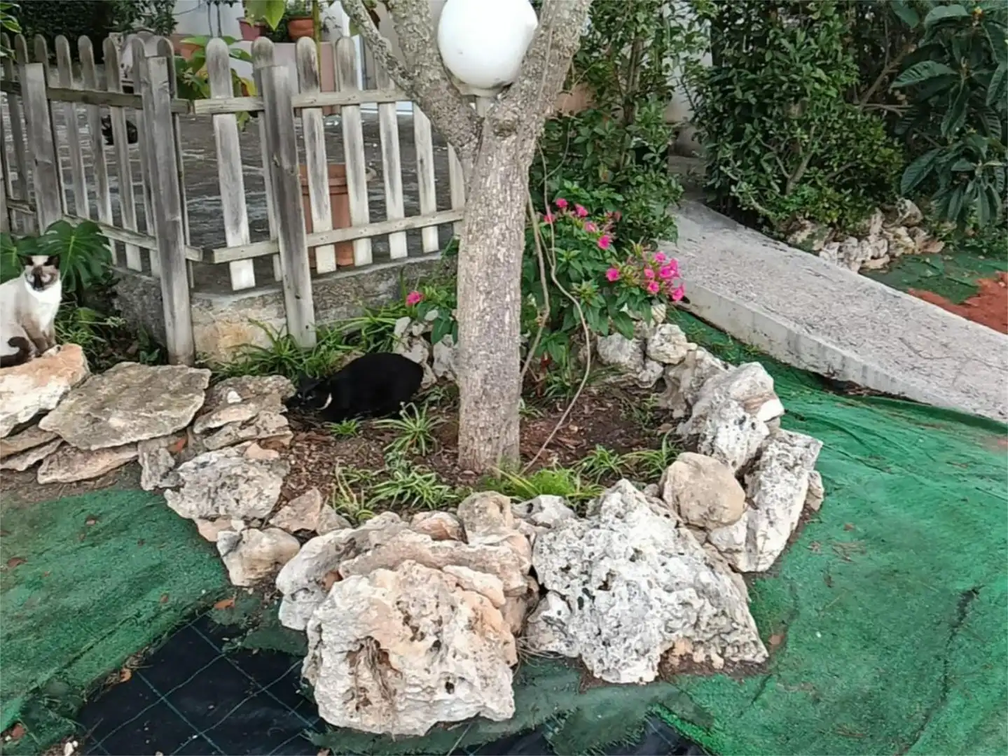 Jardí de Casa o xalet en venda en Algaida amb Terrassa i Piscina