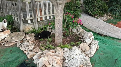 Photo 5 of Houses for sale in Ma-15, Km 15, Algaida, Illes Balears