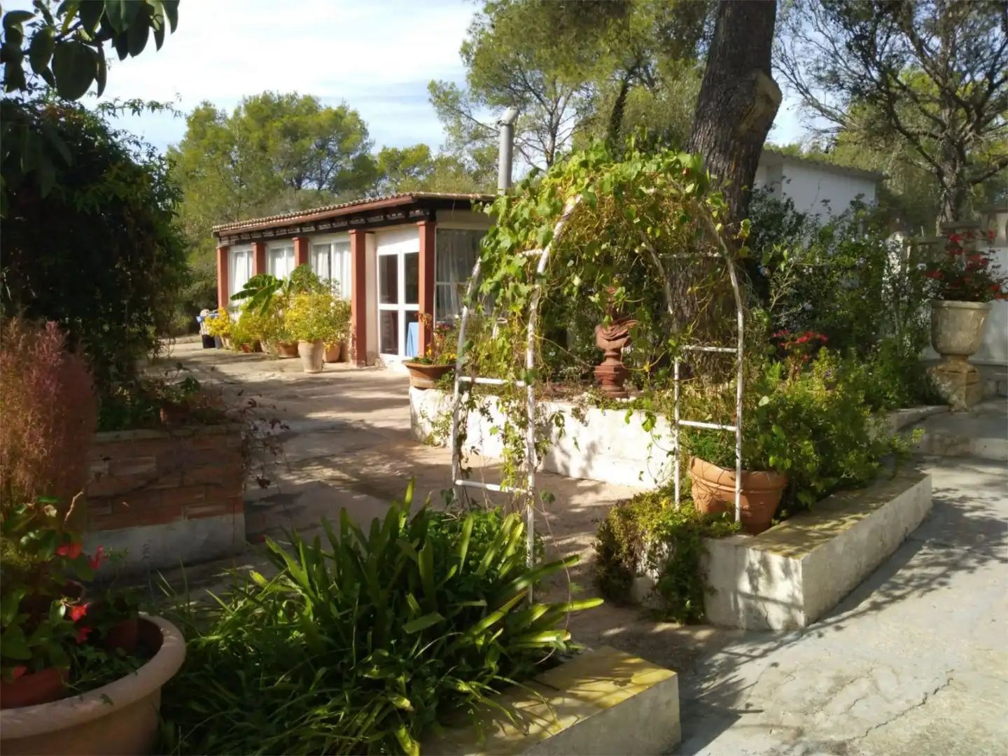 Garden of Houses for sale in Algaida  with Terrace and Swimming Pool